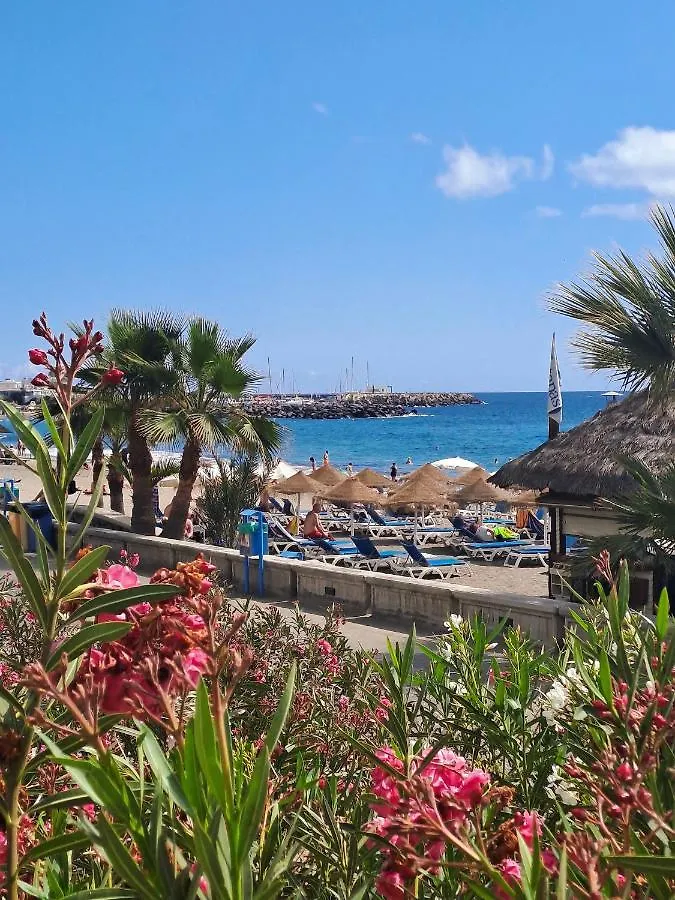 Light And Cosy Apartment In 100 Meters From The Beach Costa Adeje